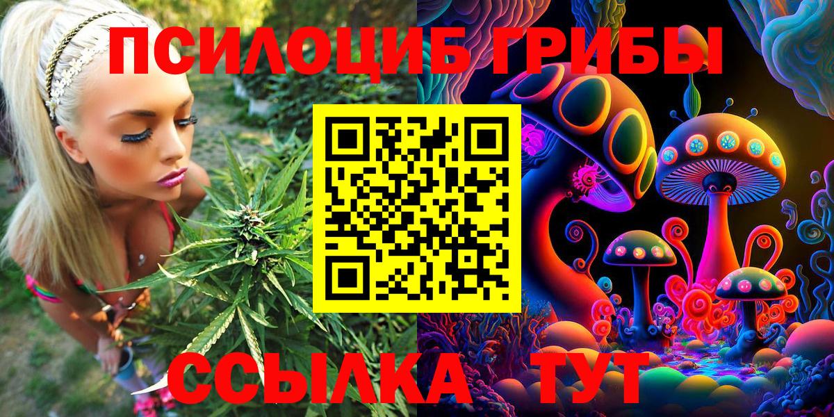 Псилоцибиновые грибы Psilocybine cubensis  Псилоцибиновые грибы мицелий  цена наркотик  Вход с VPN  Тихорецк 